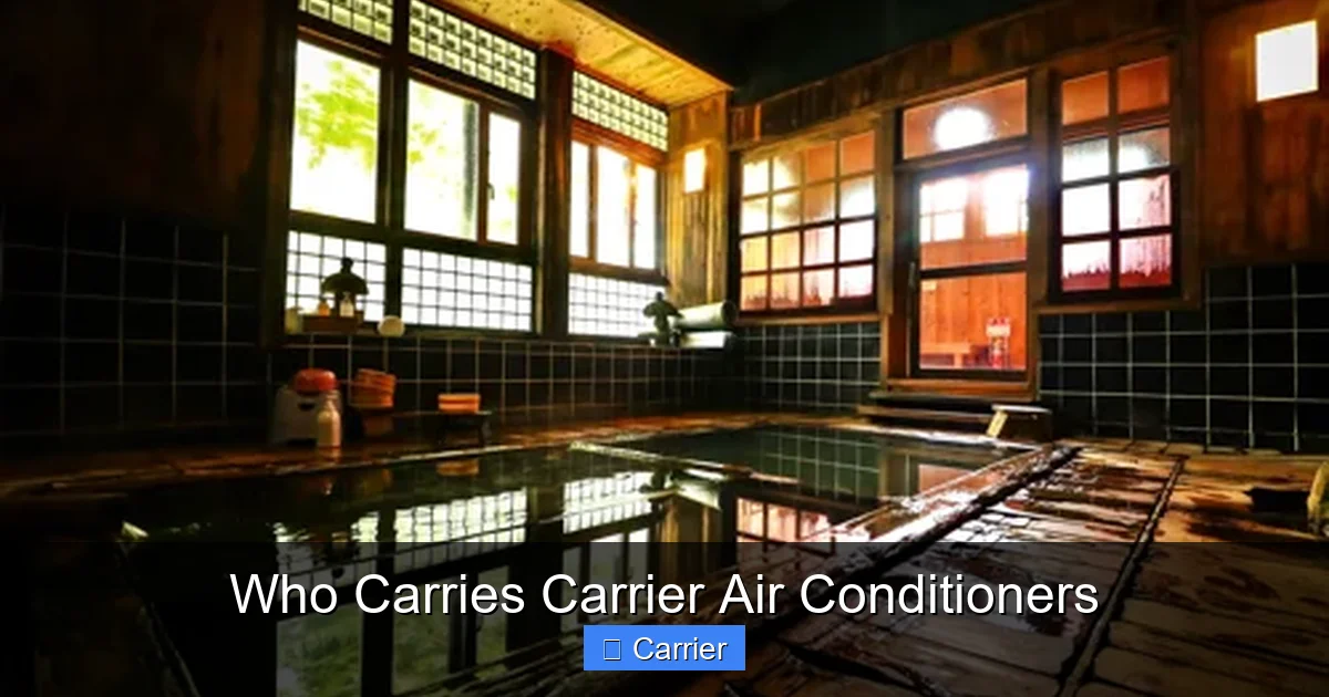 Who Carries Carrier Air Conditioners