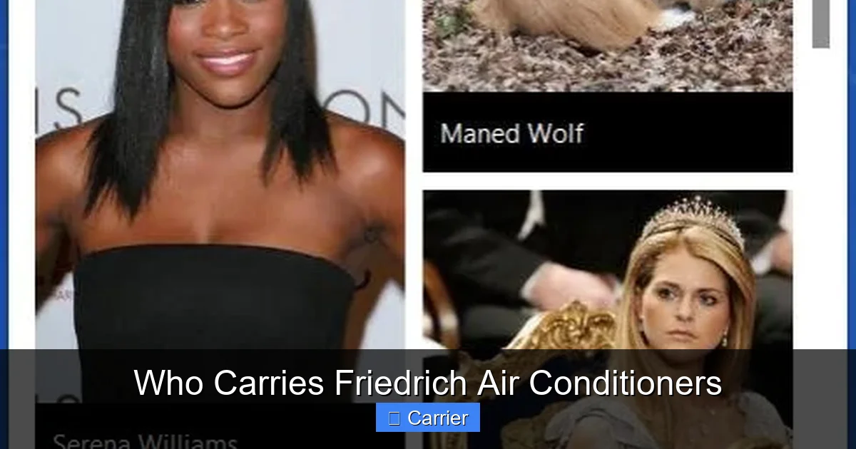 Who Carries Friedrich Air Conditioners