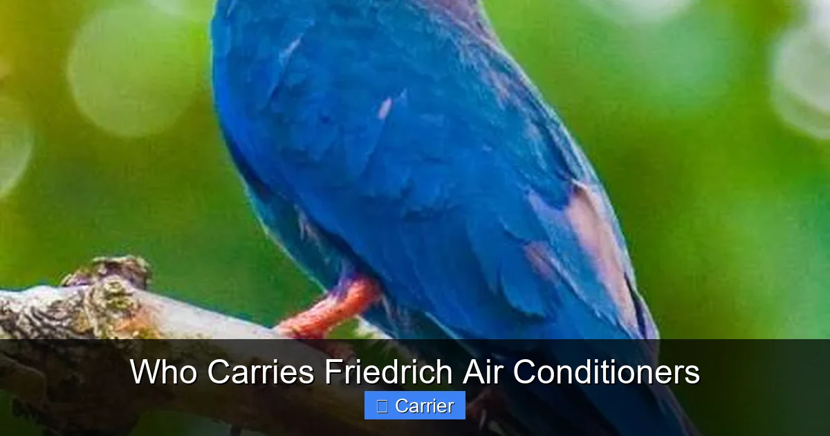 Who Carries Friedrich Air Conditioners