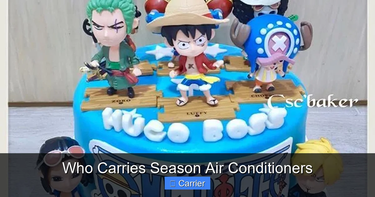 Who Carries Season Air Conditioners
