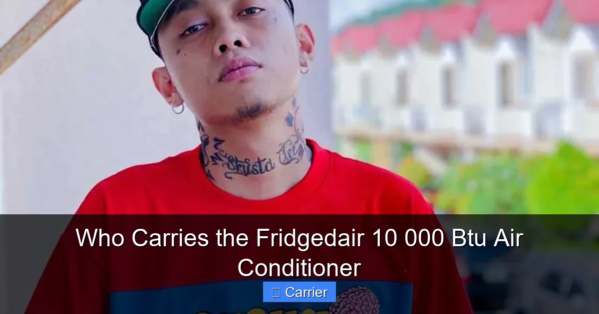 Who Carries the Fridgedair 10 000 Btu Air Conditioner