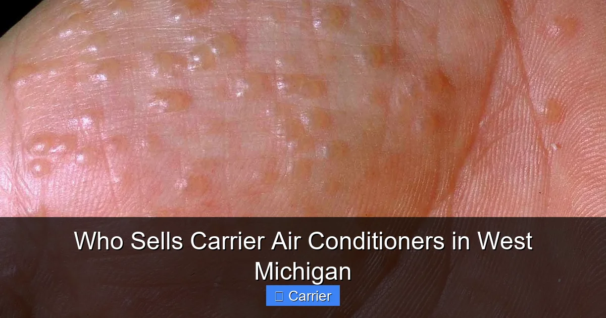 Who Sells Carrier Air Conditioners in West Michigan