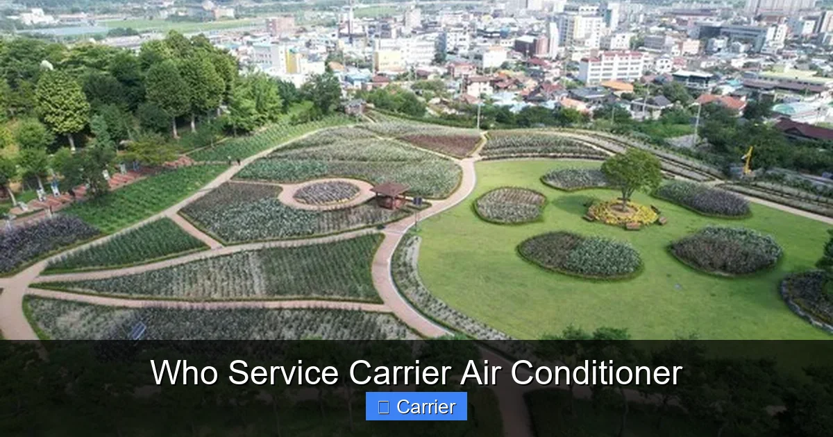 Who Service Carrier Air Conditioner