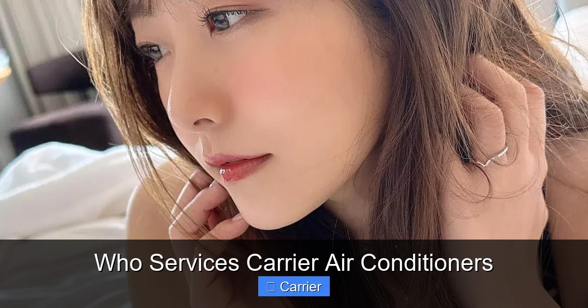 Who Services Carrier Air Conditioners