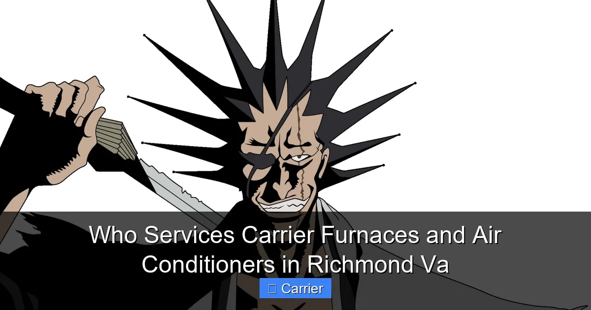 Who Services Carrier Furnaces and Air Conditioners in Richmond Va
