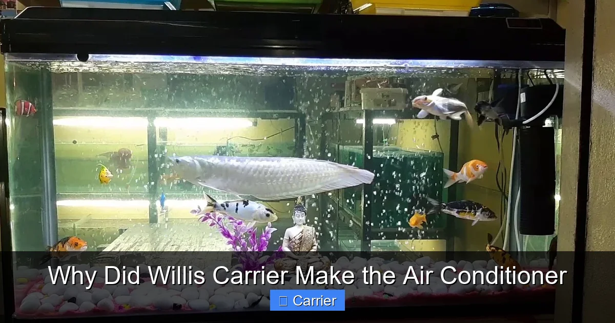 Why Did Willis Carrier Make the Air Conditioner