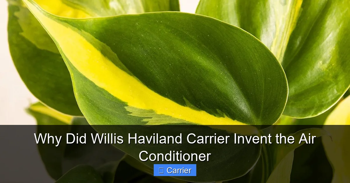 Why Did Willis Haviland Carrier Invent the Air Conditioner