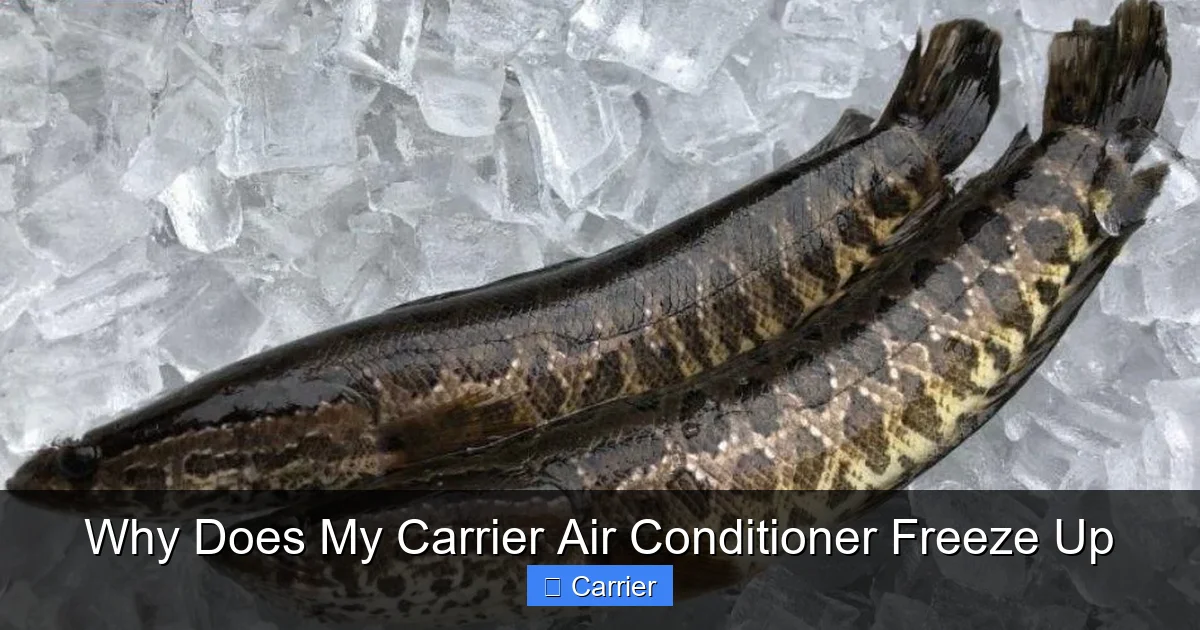 Why Does My Carrier Air Conditioner Freeze Up