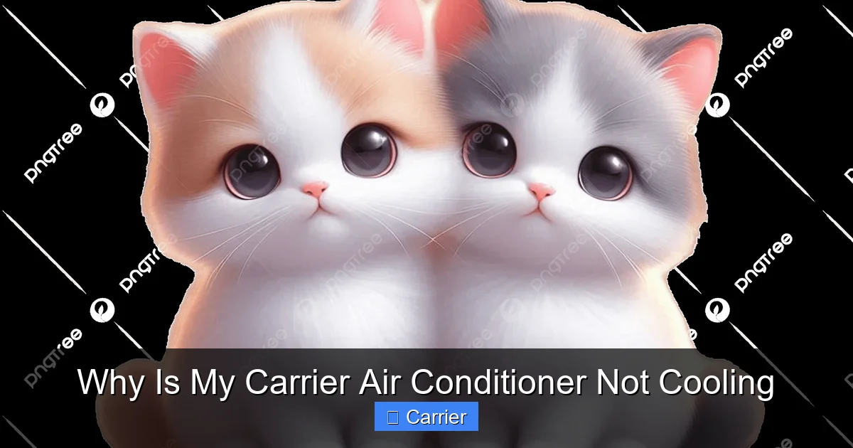 Why Is My Carrier Air Conditioner Not Cooling