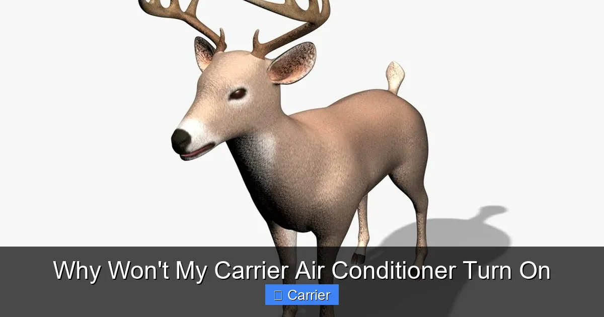 Why Won't My Carrier Air Conditioner Turn On
