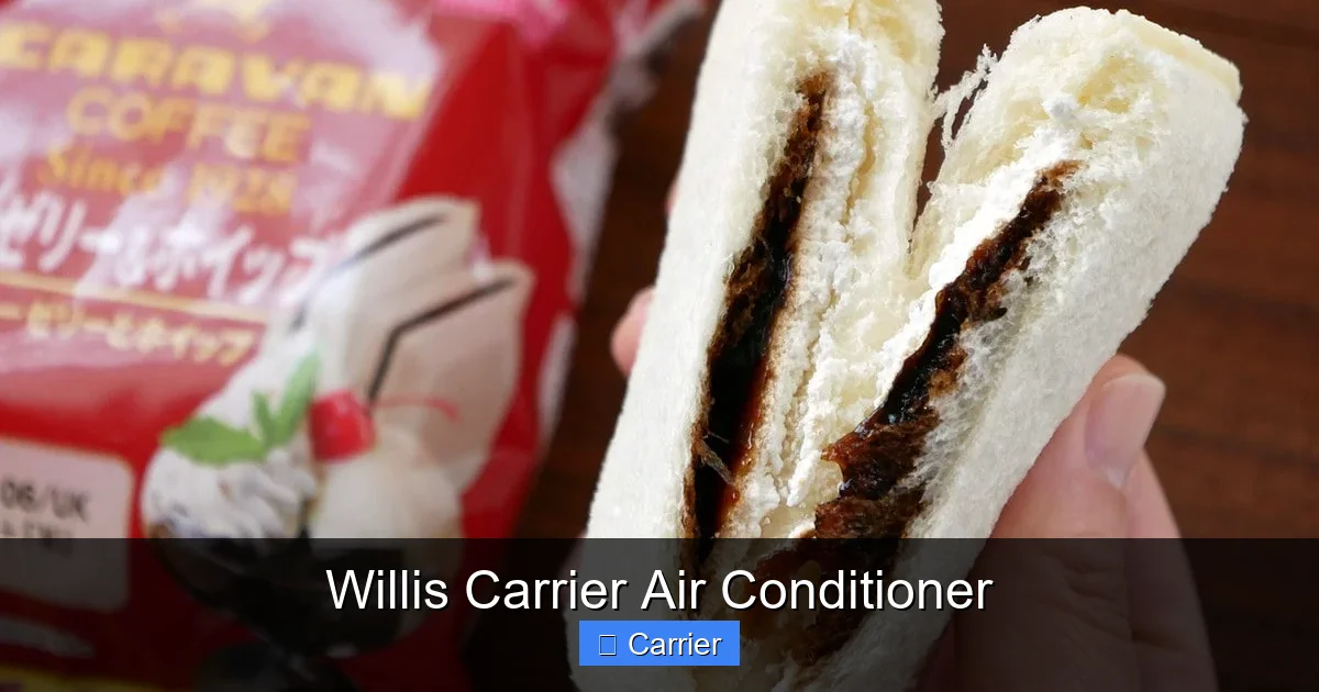 Willis Carrier Air Conditioner