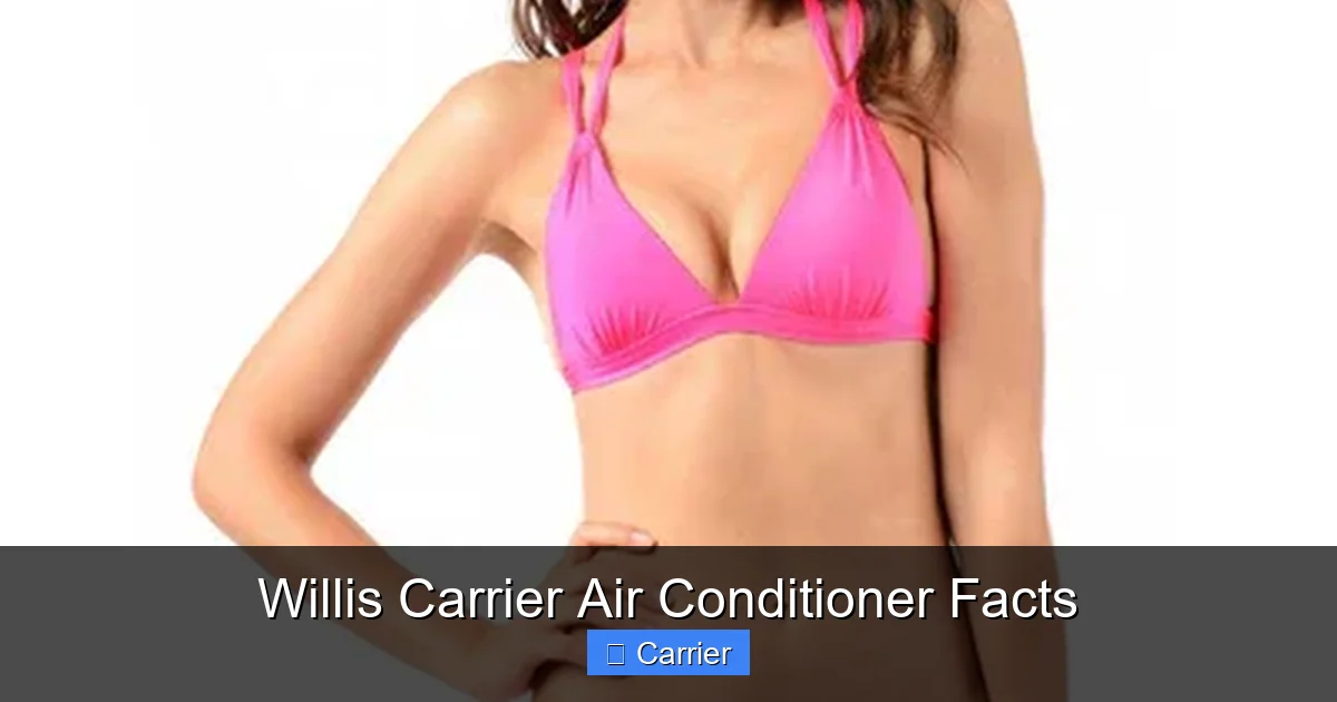 Willis Carrier Air Conditioner Facts