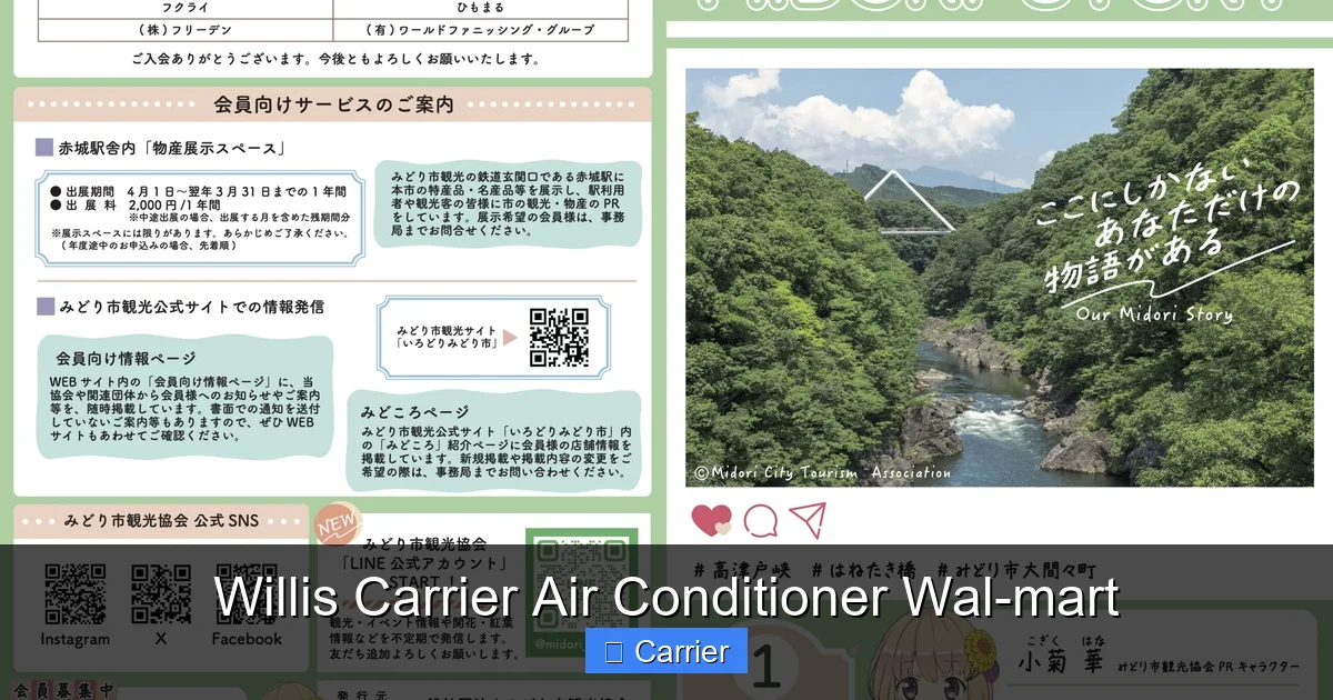 Willis Carrier Air Conditioner Wal-mart