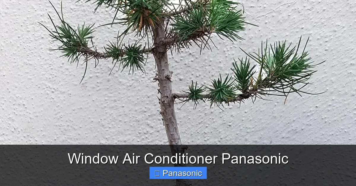 Window Air Conditioner Panasonic