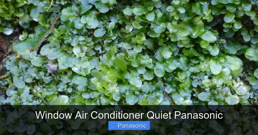 Window Air Conditioner Quiet Panasonic