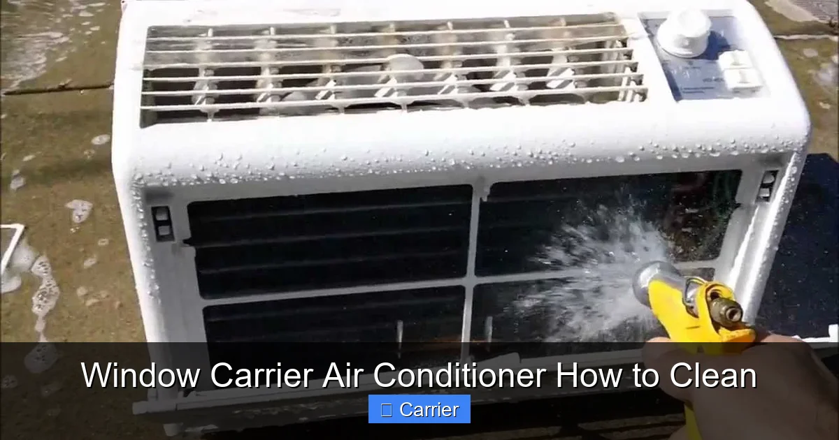 Window Carrier Air Conditioner How to Clean