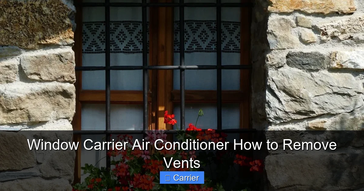 Window Carrier Air Conditioner How to Remove Vents