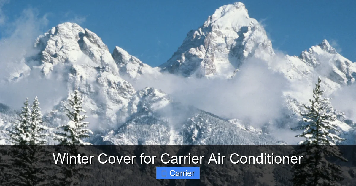 Winter Cover for Carrier Air Conditioner