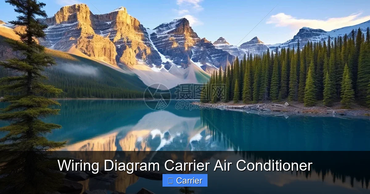 Wiring Diagram Carrier Air Conditioner