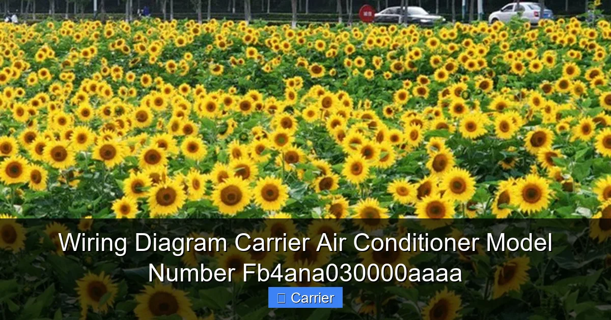 Wiring Diagram Carrier Air Conditioner Model Number Fb4ana030000aaaa