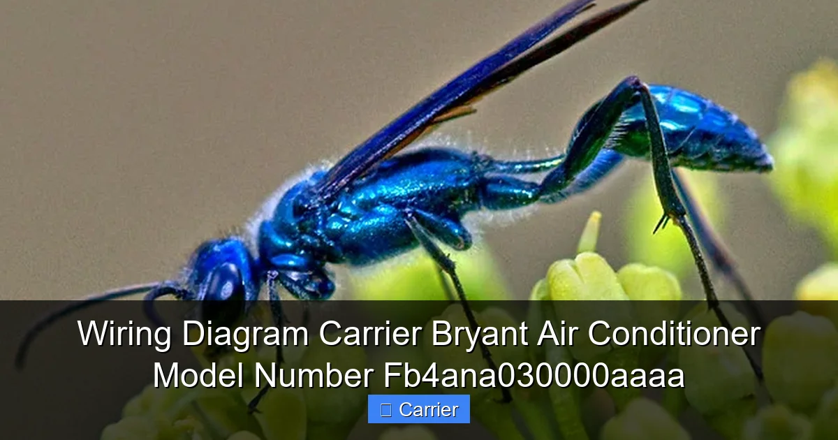 Wiring Diagram Carrier Bryant Air Conditioner Model Number Fb4ana030000aaaa