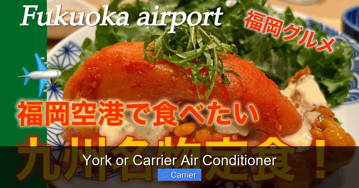 York or Carrier Air Conditioner