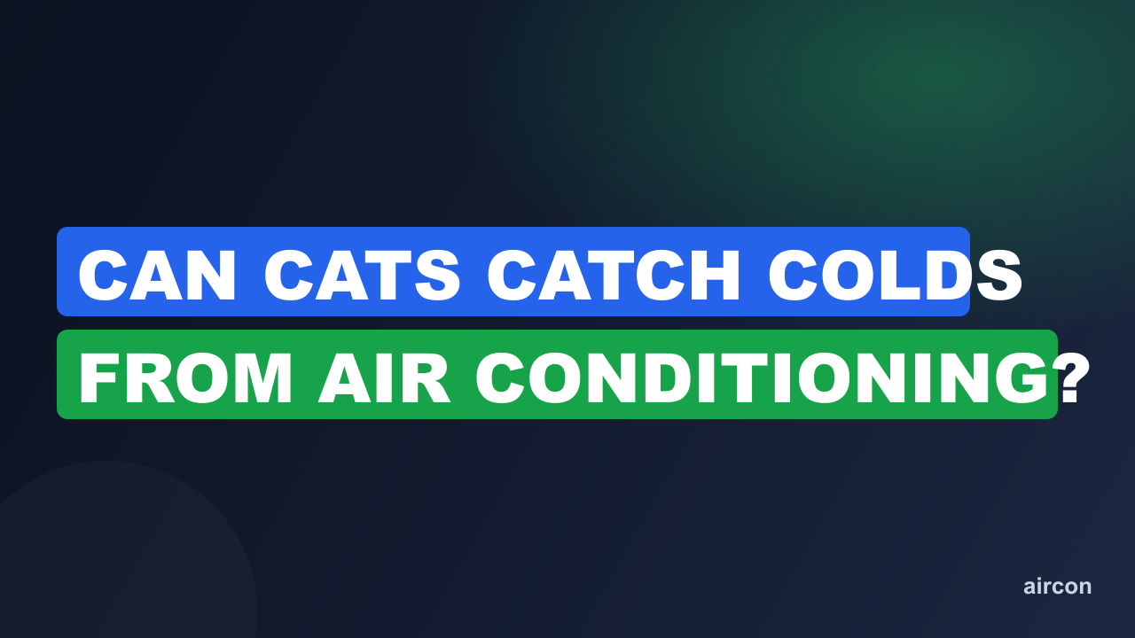 Can Cats Catch Colds From Air Conditioning?